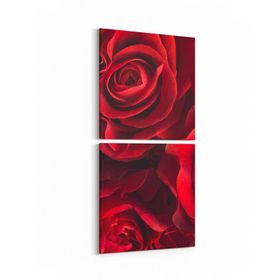 Olla 11590K2D Çiçek Görseli Kare 2 Parça Dikey 30x65 cm Kanvas Tablo