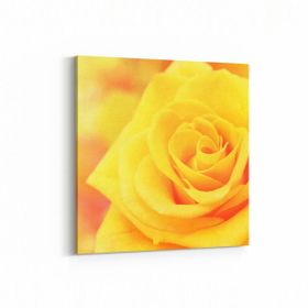 Olla 11592K Çiçek Görseli Kare 25x25 cm Kanvas Tablo