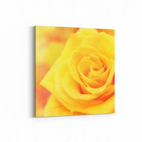 Olla 11592K Çiçek Görseli Kare 25x25 cm Kanvas Tablo