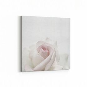 Olla 11601K Çiçek Görseli Kare 25x25 cm Kanvas Tablo