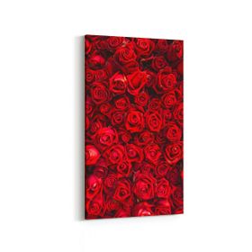 Olla 11603DD Çiçek Görseli Dikey Dar 30x60 cm Kanvas Tablo