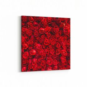 Olla 11603K Çiçek Görseli Kare 25x25 cm Kanvas Tablo