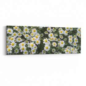 Olla 11611YI Çiçek Görseli Yatay İnce 90x30 cm Kanvas Tablo
