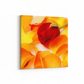Olla 11616K Çiçek Görseli Kare 25x25 cm Kanvas Tablo