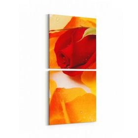 Olla 11616K2D Çiçek Görseli Kare 2 Parça Dikey 30x65 cm Kanvas Tablo