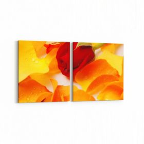 Olla 11616K2Y Çiçek Görseli Kare 2 Parça Yatay 65x30 cm Kanvas Tablo