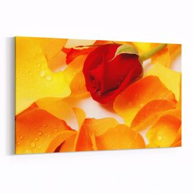 Olla 11616Y Çiçek Görseli Yatay 30x20 cm Kanvas Tablo
