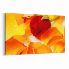 Olla 11616Y Çiçek Görseli Yatay 30x20 cm Kanvas Tablo