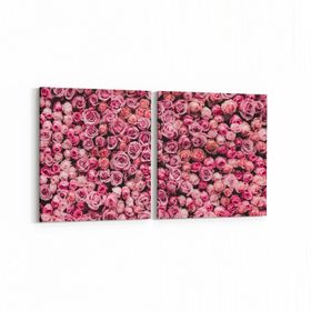 Olla 11627K2Y Çiçek Görseli Kare 2 Parça Yatay 65x30 cm Kanvas Tablo