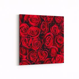 Olla 11629K Çiçek Görseli Kare 25x25 cm Kanvas Tablo