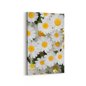 Olla 11630D Çiçek Görseli Dikey 20x30 cm Kanvas Tablo