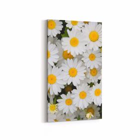 Olla 11630DD Çiçek Görseli Dikey Dar 30x60 cm Kanvas Tablo