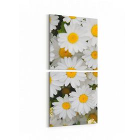 Olla 11630K2D Çiçek Görseli Kare 2 Parça Dikey 30x65 cm Kanvas Tablo