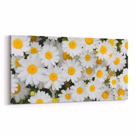 Olla 11630YD Çiçek Görseli Yatay Dar 60x30 cm Kanvas Tablo