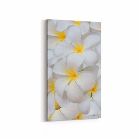 Olla 11633DD Çiçek Görseli Dikey Dar 30x60 cm Kanvas Tablo