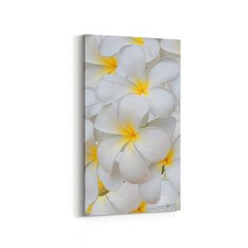 Olla 11633DD Çiçek Görseli Dikey Dar 30x60 cm Kanvas Tablo