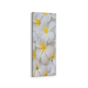 Olla 11633DI Çiçek Görseli Dikey İnce 30x90 cm Kanvas Tablo