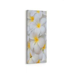 Olla 11633DI Çiçek Görseli Dikey İnce 30x90 cm Kanvas Tablo