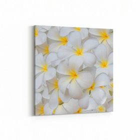 Olla 11633K Çiçek Görseli Kare 25x25 cm Kanvas Tablo