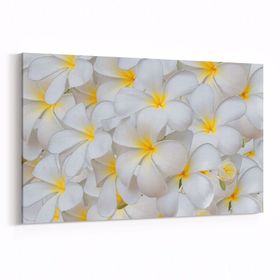 Olla 11633Y Çiçek Görseli Yatay 30x20 cm Kanvas Tablo