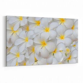 Olla 11633Y Çiçek Görseli Yatay 30x20 cm Kanvas Tablo