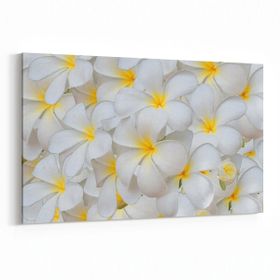 Olla 11633Y Çiçek Görseli Yatay 30x20 cm Kanvas Tablo