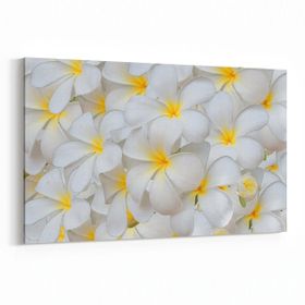 Olla 11633Y Çiçek Görseli Yatay 30x20 cm Kanvas Tablo