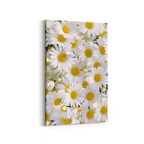 Olla 11634D Çiçek Görseli Dikey 20x30 cm Kanvas Tablo