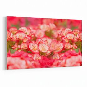Olla 11635Y Çiçek Görseli Yatay 30x20 cm Kanvas Tablo