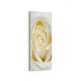 Olla 11638DI Çiçek Görseli Dikey İnce 30x90 cm Kanvas Tablo