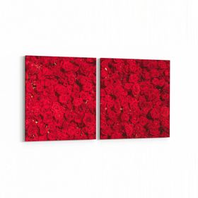 Olla 11639K2Y Çiçek Görseli Kare 2 Parça Yatay 65x30 cm Kanvas Tablo