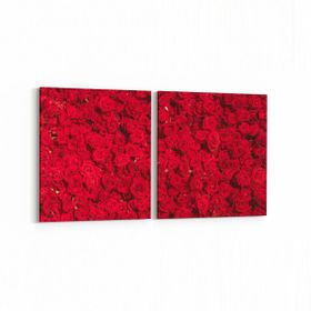 Olla 11639K2Y Çiçek Görseli Kare 2 Parça Yatay 65x30 cm Kanvas Tablo