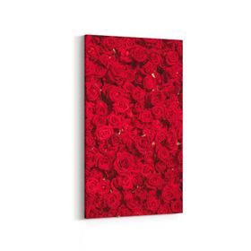 Olla 11639YD Çiçek Görseli Yatay Dar 60x30 cm Kanvas Tablo