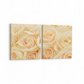 Olla 11642K2Y Çiçek Görseli Kare 2 Parça Yatay 65x30 cm Kanvas Tablo