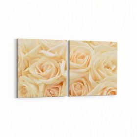 Olla 11642K2Y Çiçek Görseli Kare 2 Parça Yatay 65x30 cm Kanvas Tablo