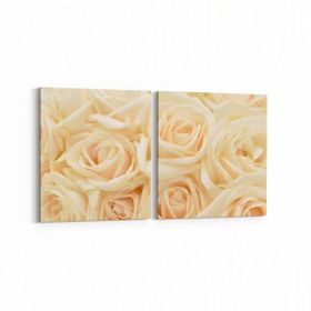 Olla 11642K2Y Çiçek Görseli Kare 2 Parça Yatay 65x30 cm Kanvas Tablo