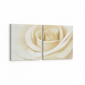 Olla 11643K2Y Çiçek Görseli Kare 2 Parça Yatay 65x30 cm Kanvas Tablo