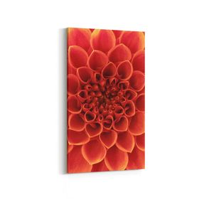 Olla 11647DD Çiçek Görseli Dikey Dar 30x60 cm Kanvas Tablo