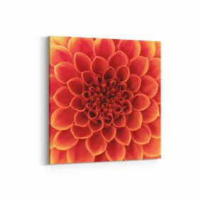 Olla 11647K Çiçek Görseli Kare 25x25 cm Kanvas Tablo