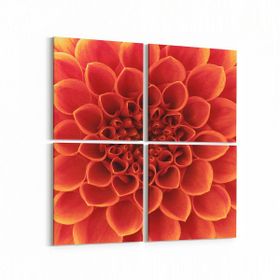 Olla 11647K4 Çiçek Görseli Kare 4 Parça 65x65 cm Kanvas Tablo