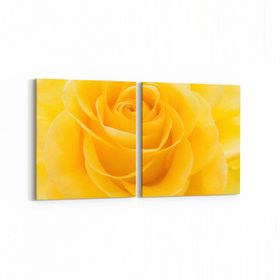 Olla 11648K2Y Çiçek Görseli Kare 2 Parça Yatay 65x30 cm Kanvas Tablo