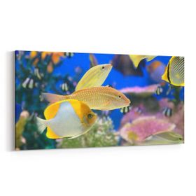 Olla 12055YD Akvaryum Balık Görseli Yatay Dar 60x30 cm Kanvas Tablo