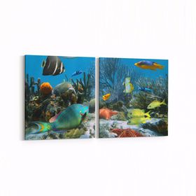Olla 12056K2Y Akvaryum Balık Görseli Kare 2 Parça Yatay 65x30 cm Kanvas Tablo
