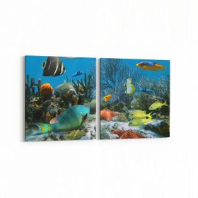 Olla 12056K2Y Akvaryum Balık Görseli Kare 2 Parça Yatay 65x30 cm Kanvas Tablo