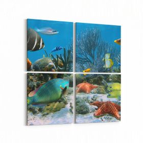 Olla 12056K4 Akvaryum Balık Görseli Kare 4 Parça 65x65 cm Kanvas Tablo
