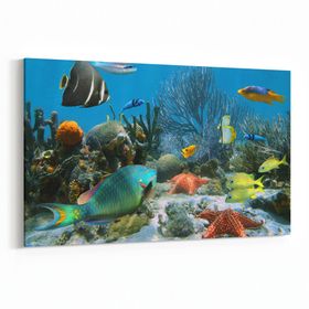 Olla 12056Y Akvaryum Balık Görseli Yatay 30x20 cm Kanvas Tablo
