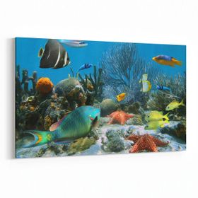 Olla 12056Y Akvaryum Balık Görseli Yatay 30x20 cm Kanvas Tablo