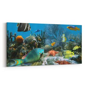 Olla 12056YD Akvaryum Balık Görseli Yatay Dar 60x30 cm Kanvas Tablo