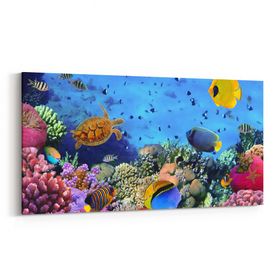 Olla 12058YD Akvaryum Balık Görseli Yatay Dar 60x30 cm Kanvas Tablo