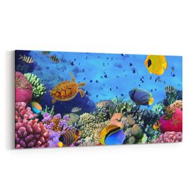Olla 12058YD Akvaryum Balık Görseli Yatay Dar 60x30 cm Kanvas Tablo